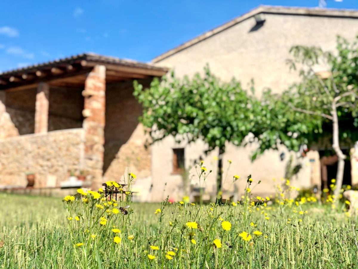 Casa Rural Can Miquel - En Pleno Bosque Y Cerca De La Playa - Increibles Rutas Btt Santa Coloma De Farners Zewnętrze zdjęcie