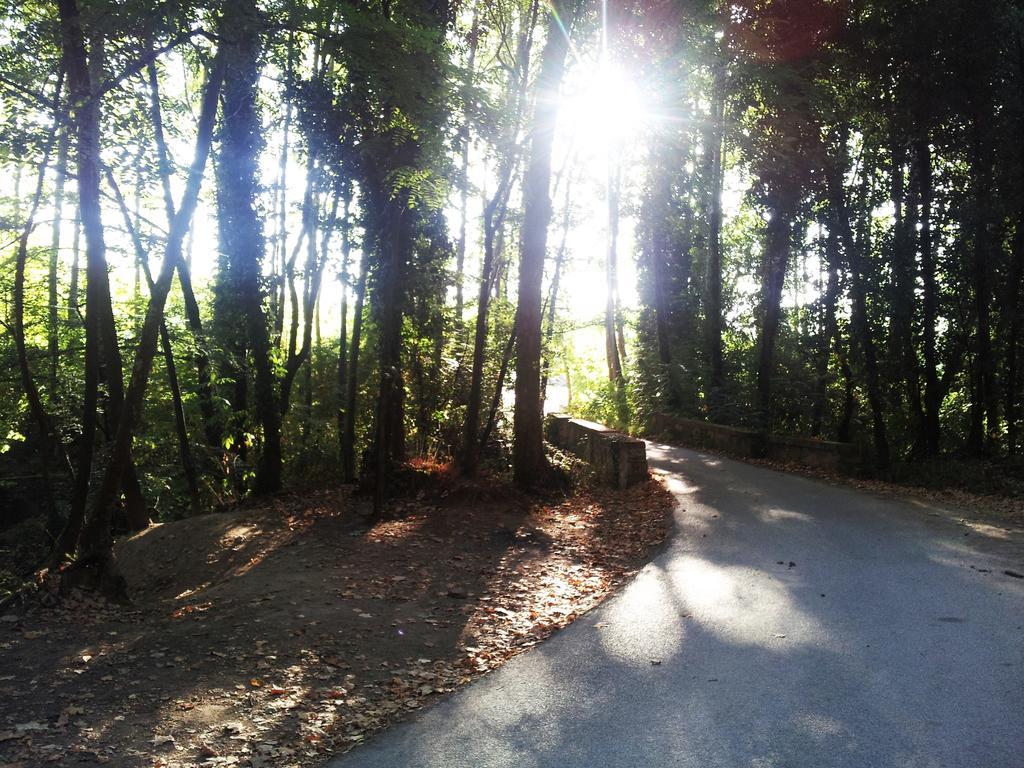 Casa Rural Can Miquel - En Pleno Bosque Y Cerca De La Playa - Increibles Rutas Btt Santa Coloma De Farners Zewnętrze zdjęcie