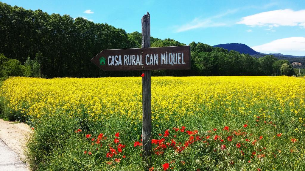 Casa Rural Can Miquel - En Pleno Bosque Y Cerca De La Playa - Increibles Rutas Btt Santa Coloma De Farners Zewnętrze zdjęcie