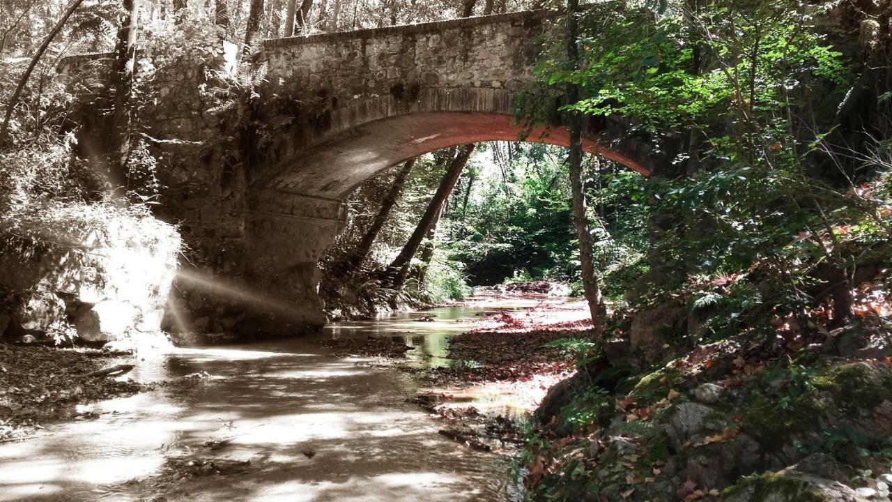 Casa Rural Can Miquel - En Pleno Bosque Y Cerca De La Playa - Increibles Rutas Btt Santa Coloma De Farners Zewnętrze zdjęcie