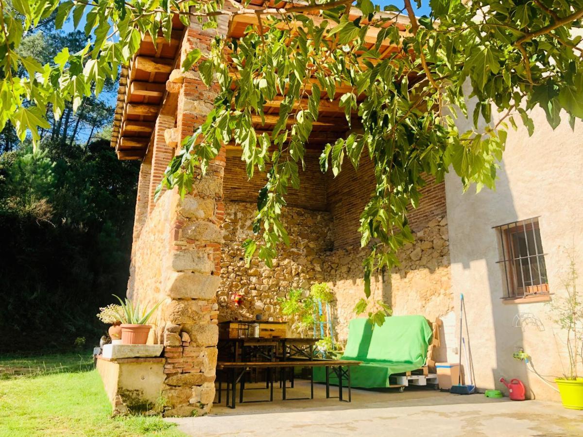 Casa Rural Can Miquel - En Pleno Bosque Y Cerca De La Playa - Increibles Rutas Btt Santa Coloma De Farners Zewnętrze zdjęcie