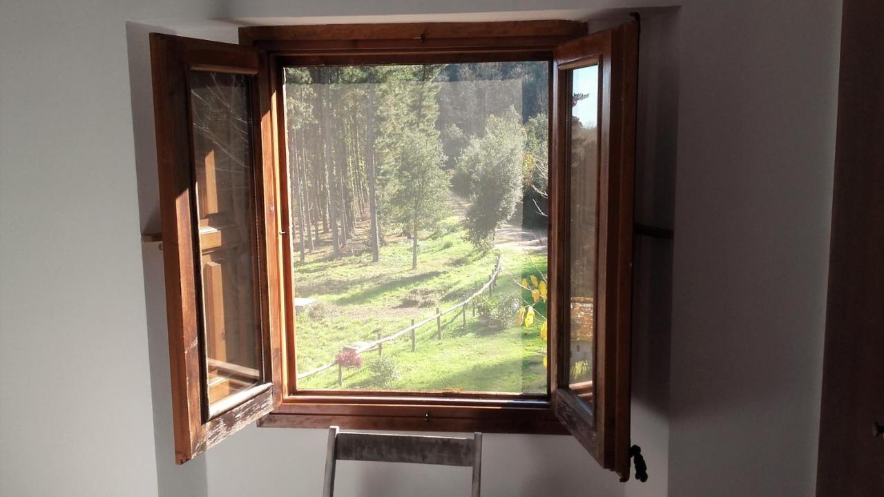 Casa Rural Can Miquel - En Pleno Bosque Y Cerca De La Playa - Increibles Rutas Btt Santa Coloma De Farners Zewnętrze zdjęcie