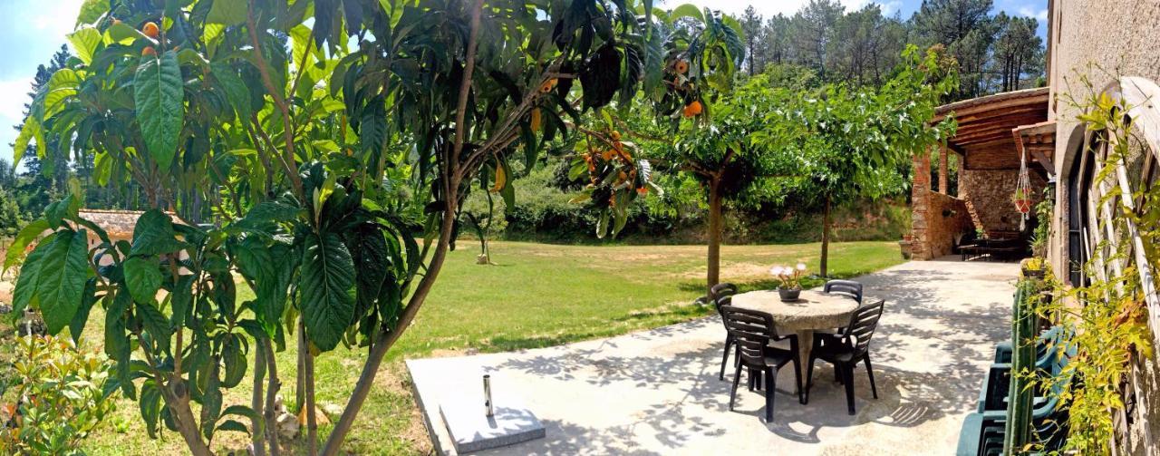 Casa Rural Can Miquel - En Pleno Bosque Y Cerca De La Playa - Increibles Rutas Btt Santa Coloma De Farners Zewnętrze zdjęcie