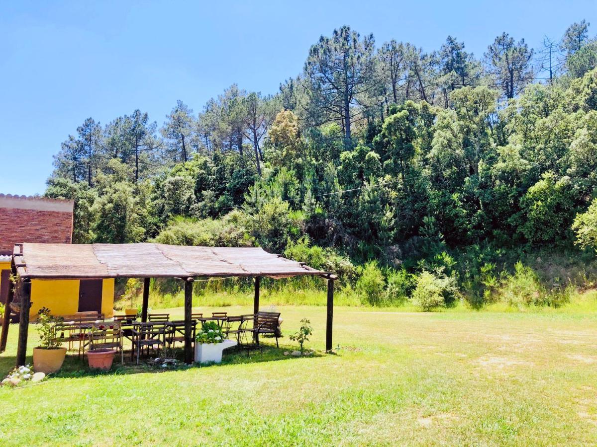 Casa Rural Can Miquel - En Pleno Bosque Y Cerca De La Playa - Increibles Rutas Btt Santa Coloma De Farners Zewnętrze zdjęcie