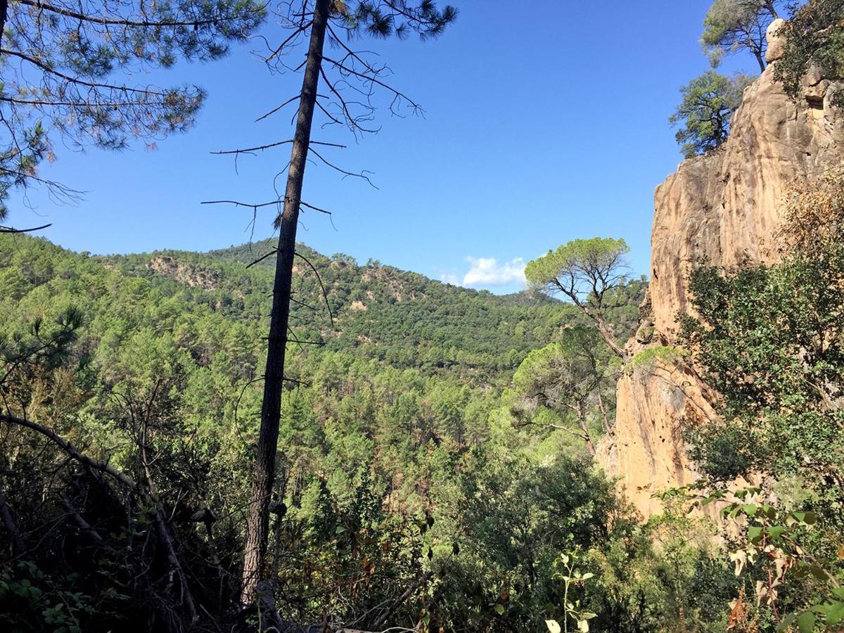 Casa Rural Can Miquel - En Pleno Bosque Y Cerca De La Playa - Increibles Rutas Btt Santa Coloma De Farners Zewnętrze zdjęcie