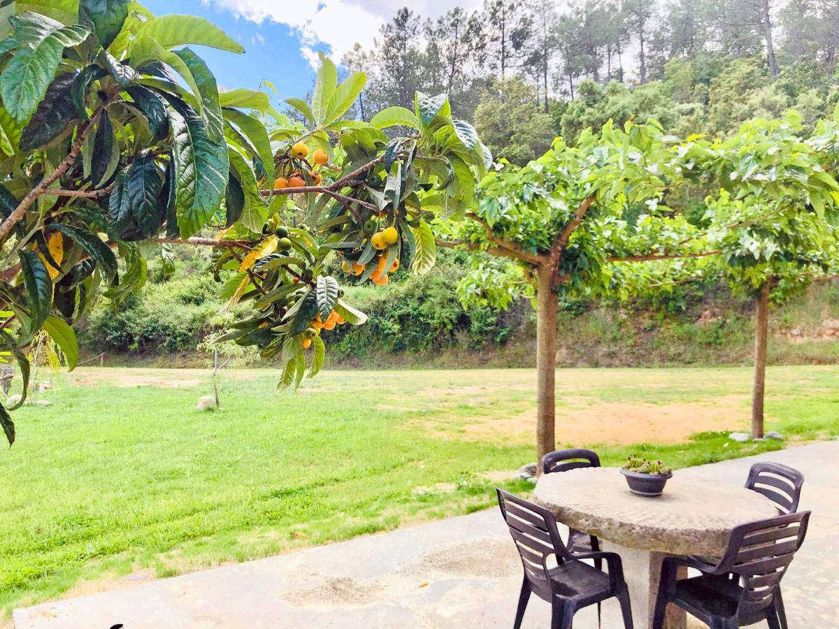 Casa Rural Can Miquel - En Pleno Bosque Y Cerca De La Playa - Increibles Rutas Btt Santa Coloma De Farners Zewnętrze zdjęcie