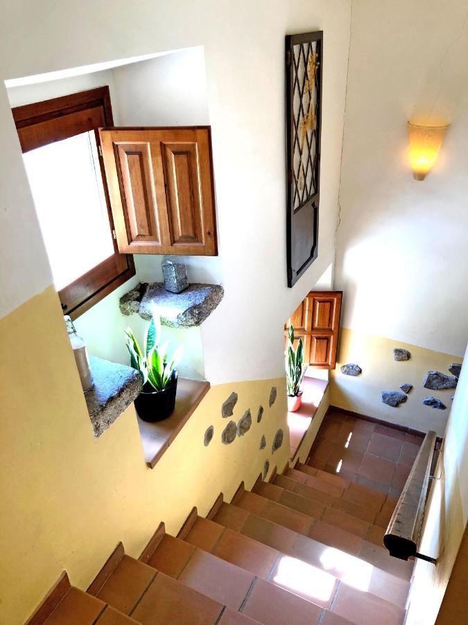 Casa Rural Can Miquel - En Pleno Bosque Y Cerca De La Playa - Increibles Rutas Btt Santa Coloma De Farners Zewnętrze zdjęcie