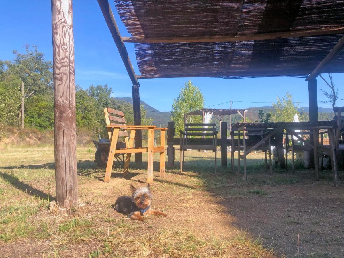 Casa Rural Can Miquel - En Pleno Bosque Y Cerca De La Playa - Increibles Rutas Btt Santa Coloma De Farners Zewnętrze zdjęcie