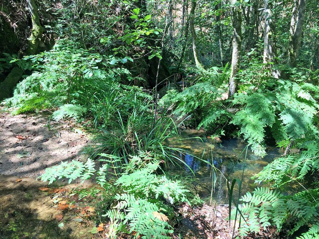 Casa Rural Can Miquel - En Pleno Bosque Y Cerca De La Playa - Increibles Rutas Btt Santa Coloma De Farners Zewnętrze zdjęcie