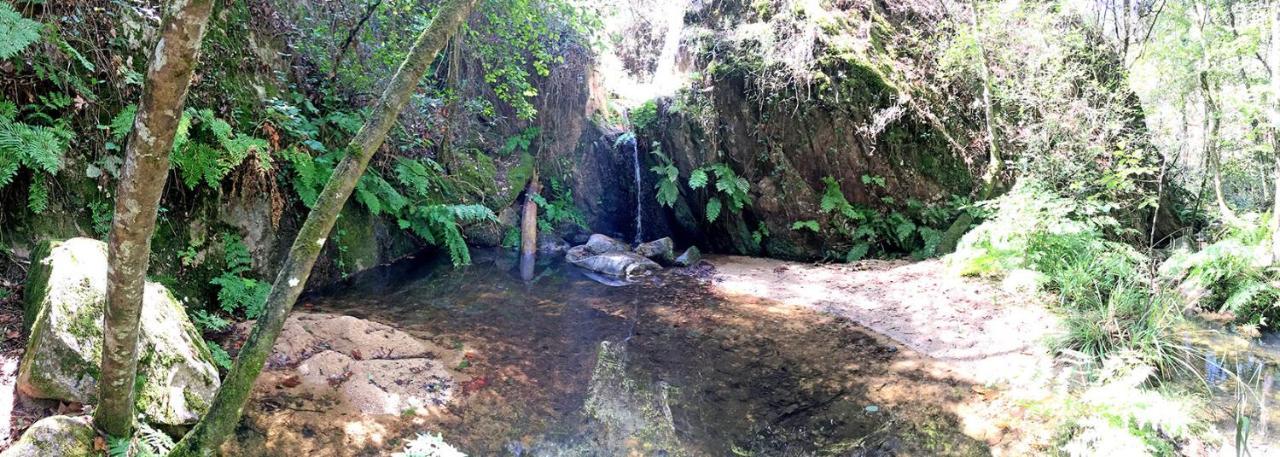 Casa Rural Can Miquel - En Pleno Bosque Y Cerca De La Playa - Increibles Rutas Btt Santa Coloma De Farners Zewnętrze zdjęcie