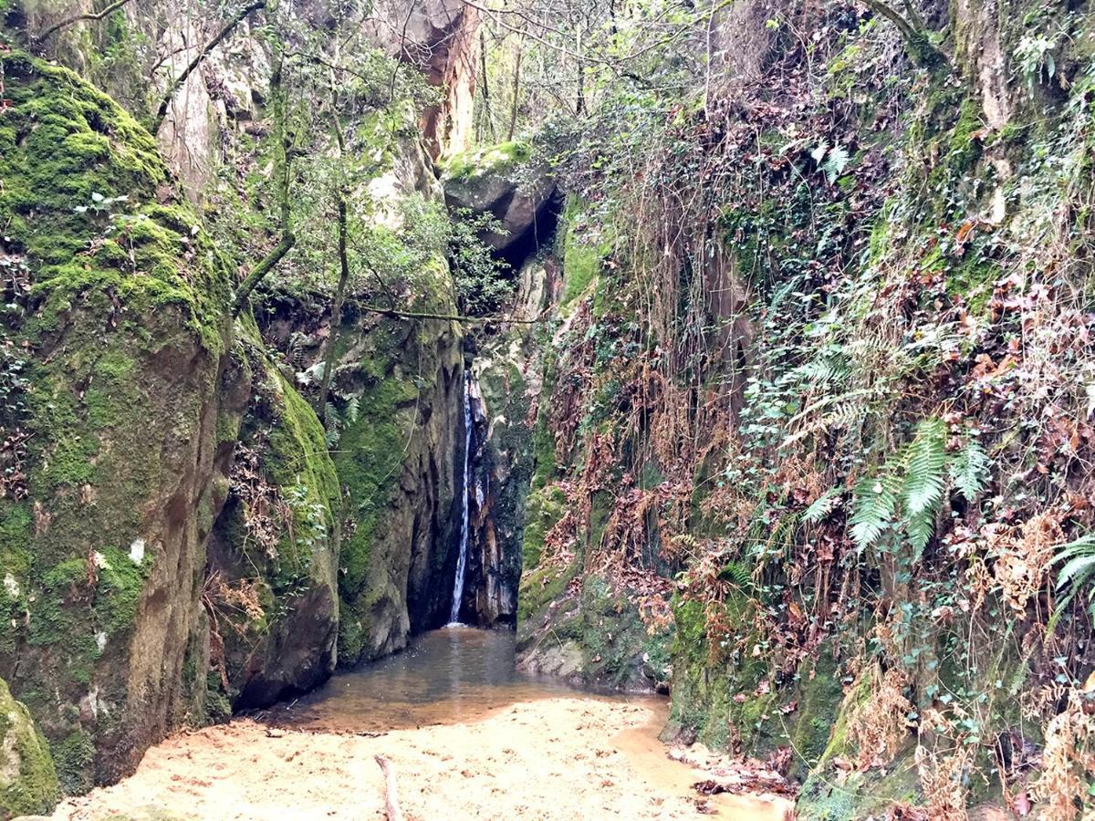 Casa Rural Can Miquel - En Pleno Bosque Y Cerca De La Playa - Increibles Rutas Btt Santa Coloma De Farners Zewnętrze zdjęcie